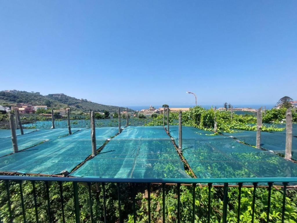 מסה לוברנסה Il Pozzillo Maison מראה חיצוני תמונה